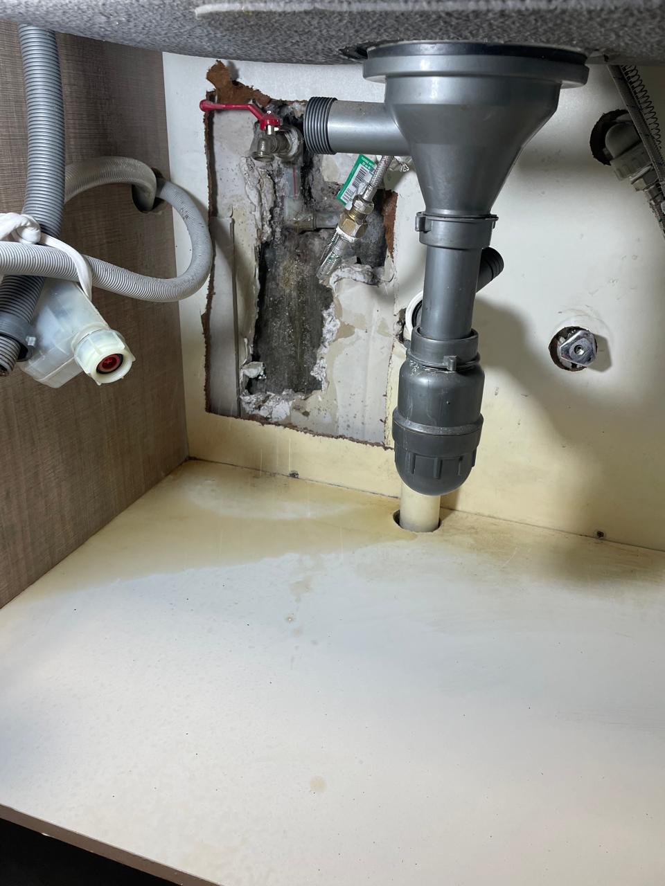 Trabajo garantizado de deteccion de fugas